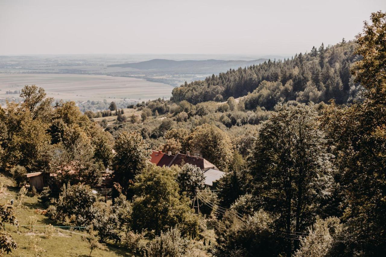 Villa Hubertus Srebrna Góra Buitenkant foto