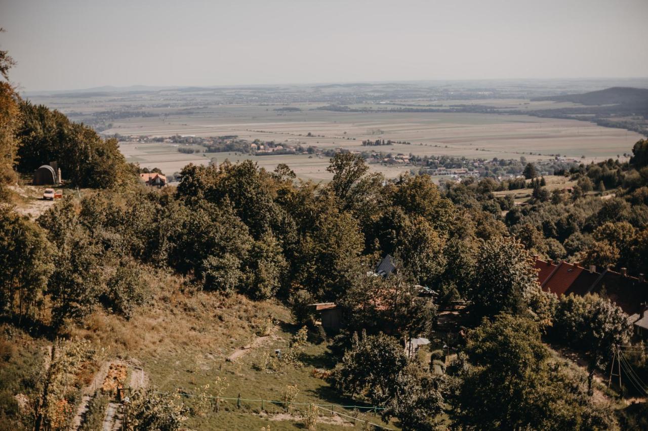 Villa Hubertus Srebrna Góra Buitenkant foto