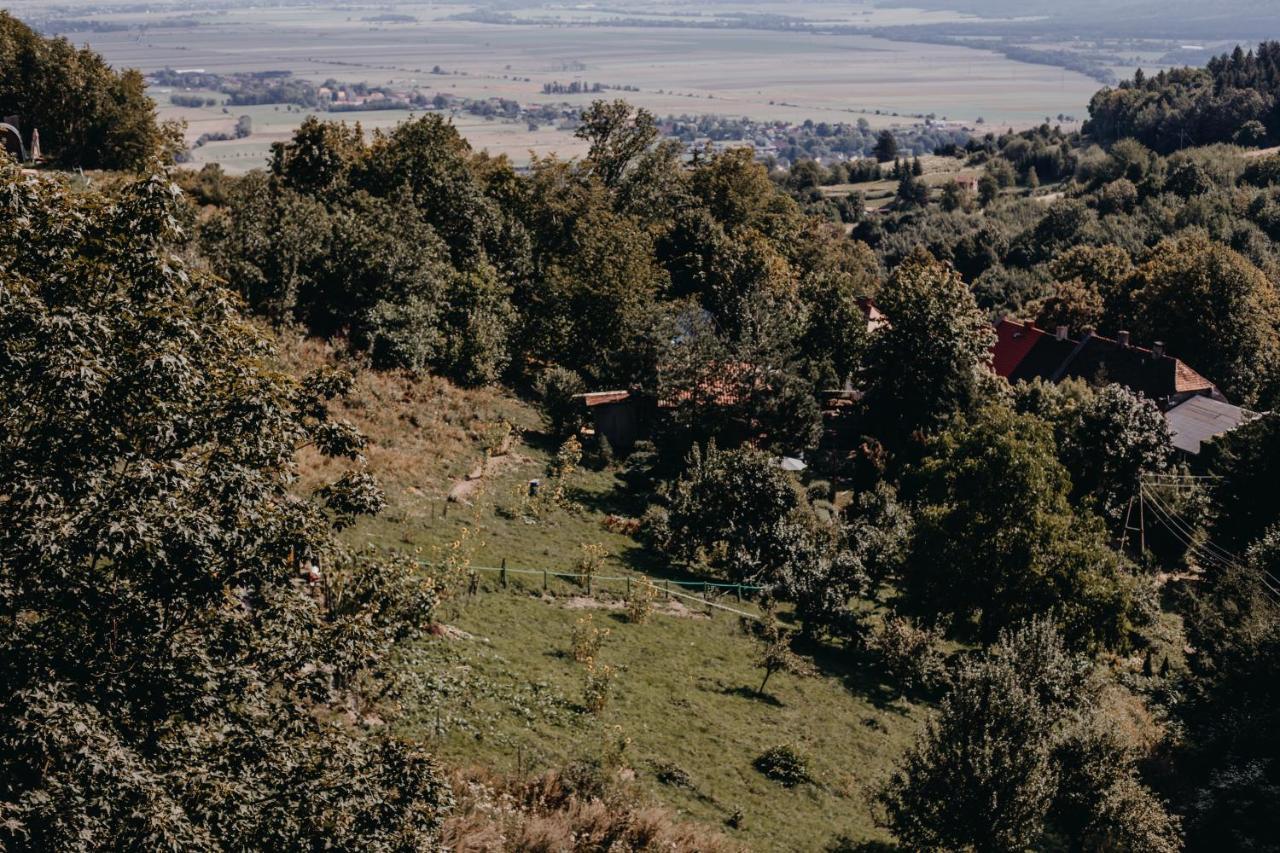 Villa Hubertus Srebrna Góra Buitenkant foto