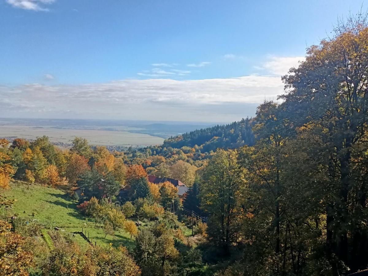 Villa Hubertus Srebrna Góra Buitenkant foto