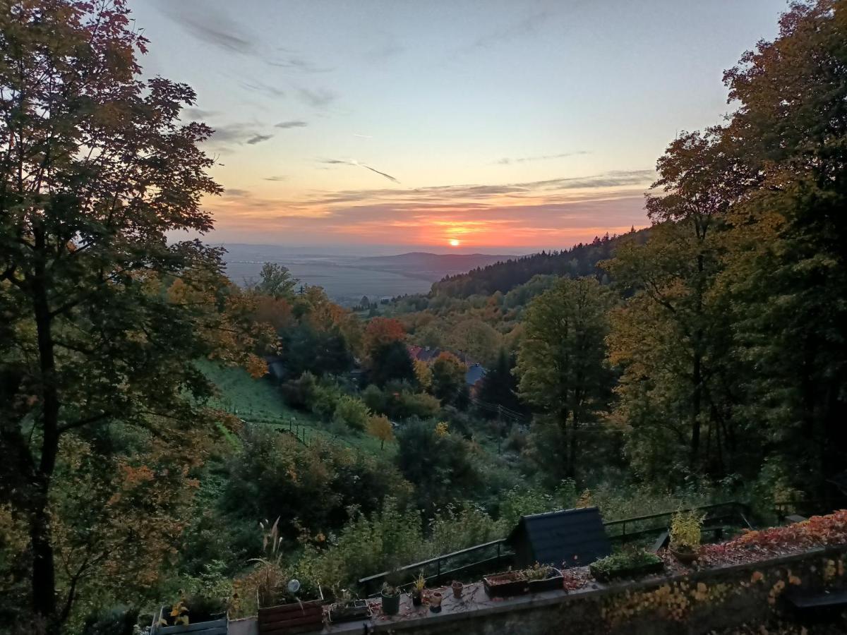 Villa Hubertus Srebrna Góra Buitenkant foto