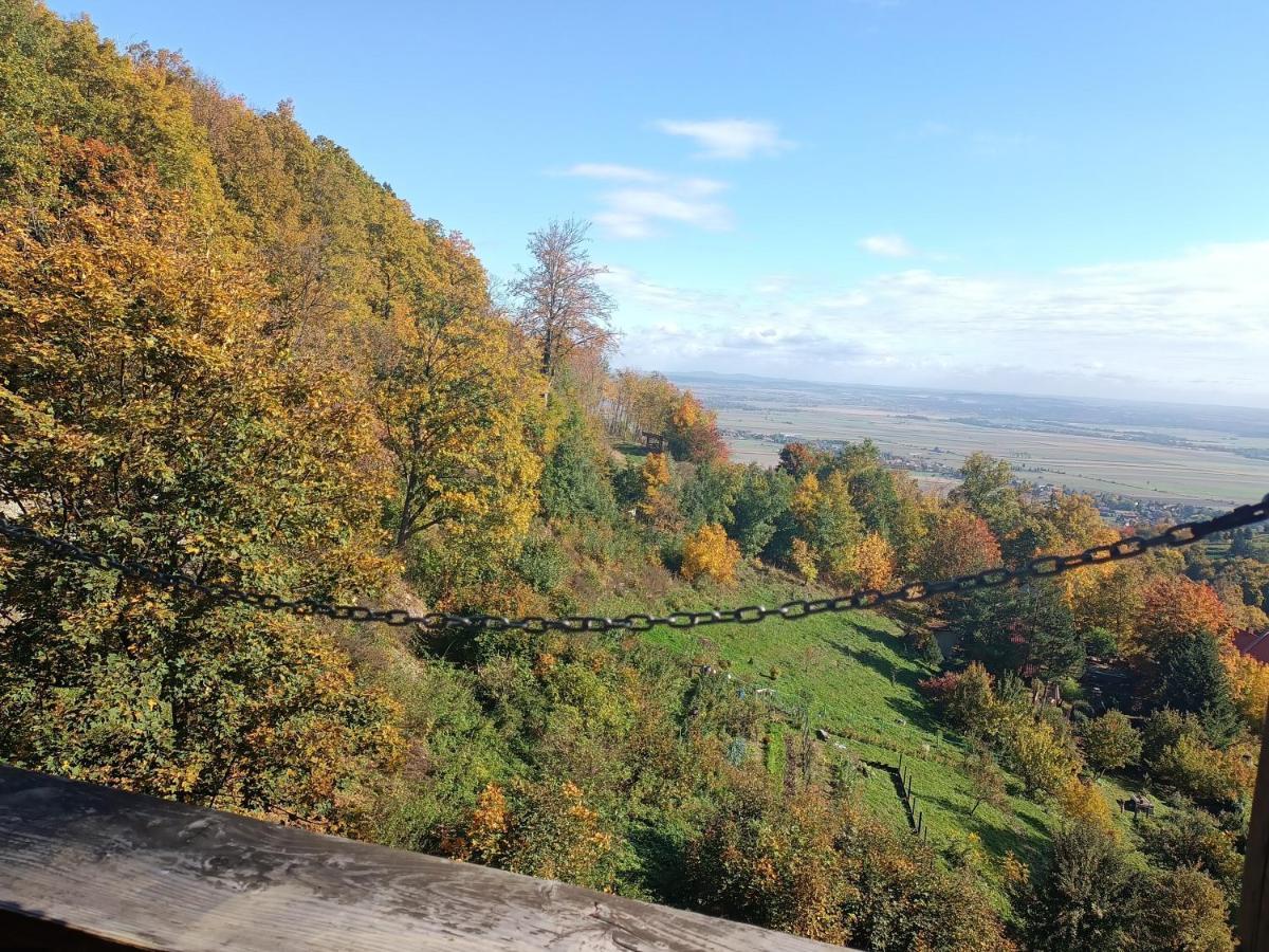 Villa Hubertus Srebrna Góra Buitenkant foto