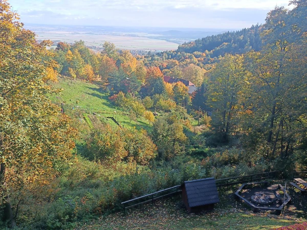 Villa Hubertus Srebrna Góra Buitenkant foto